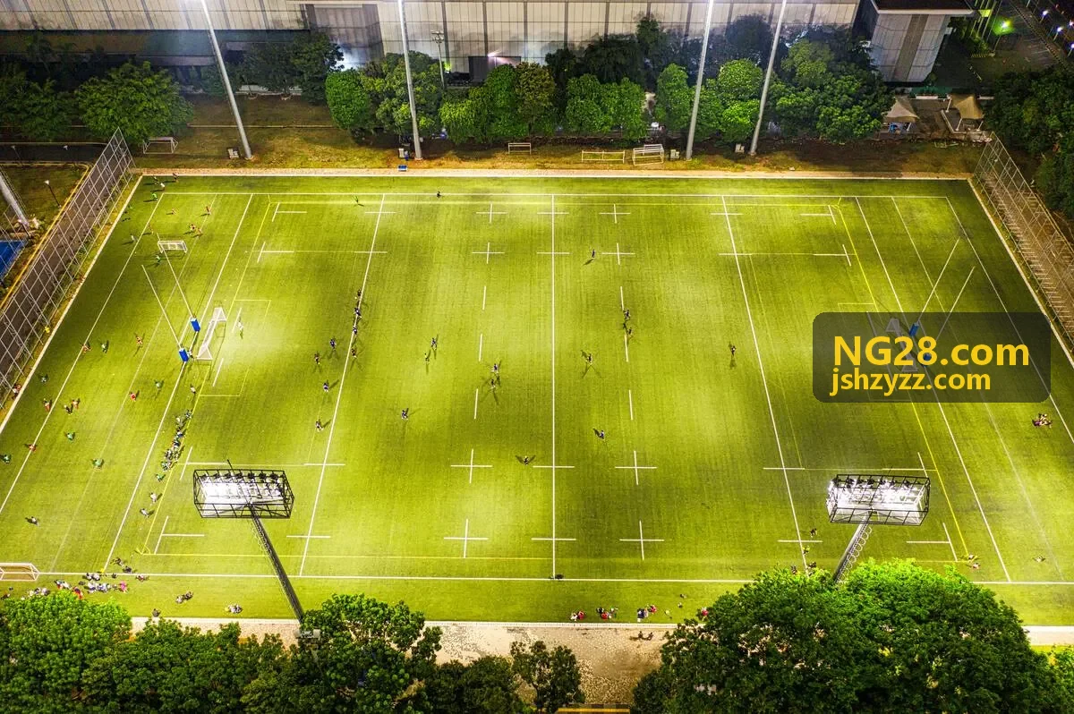 NG28 案例金融行业